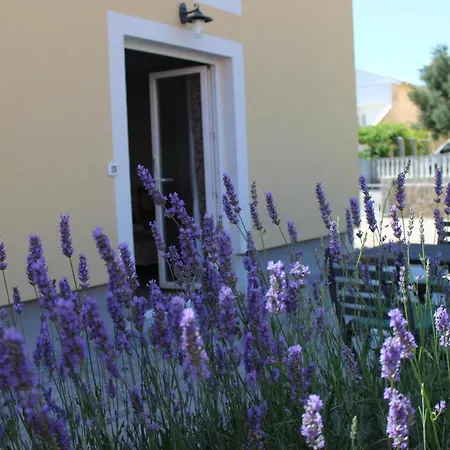 Studio Lavanda In Kornic, Krk Buitenkant foto